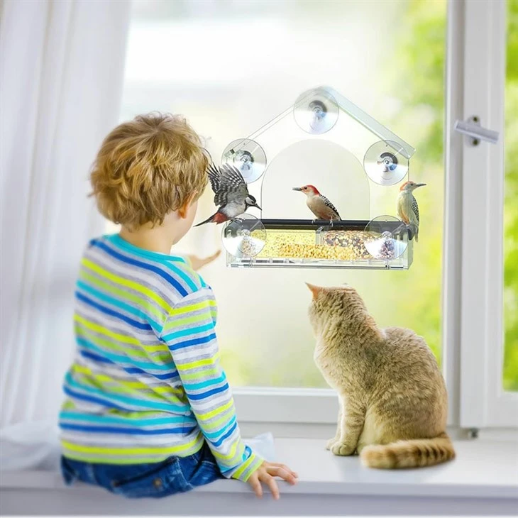 Wild Bird Viewing Feeder high quality