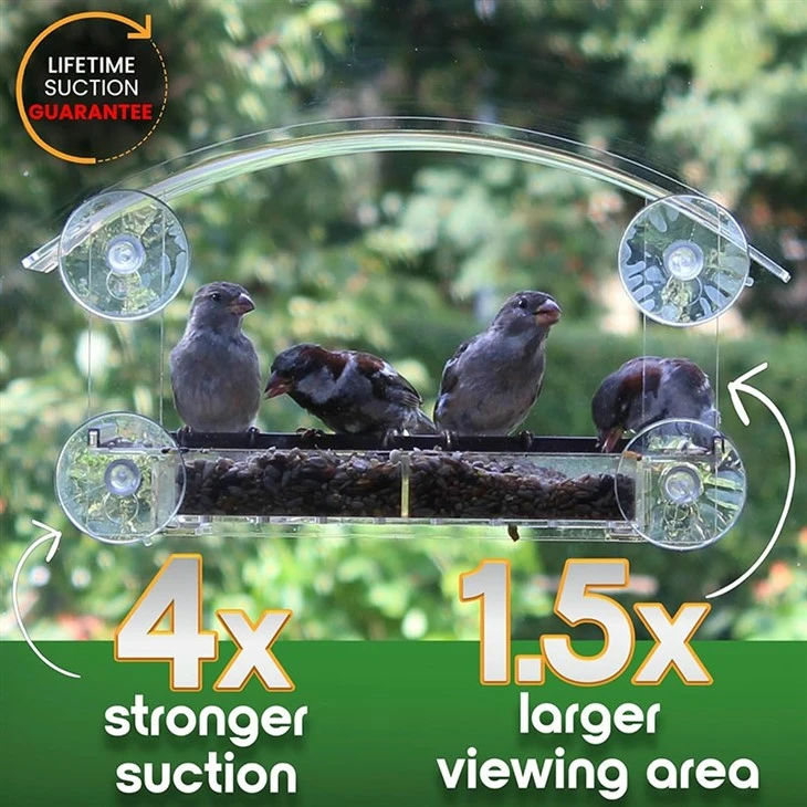 Wild Bird Viewing Feeder suppliers