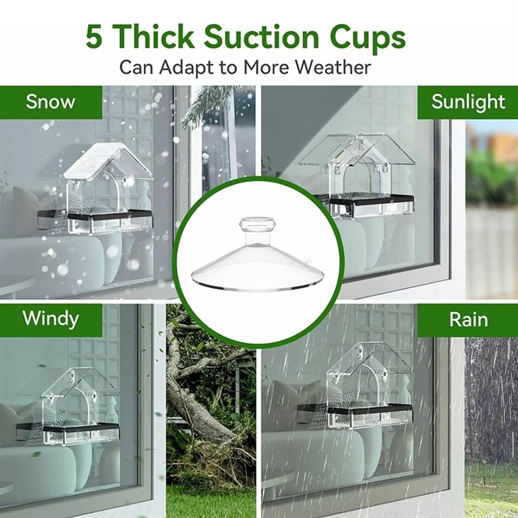 Wild Bird Viewing Feeder high quality