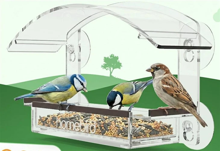 Wild Bird Viewing Feeder best