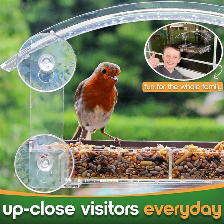 Wild Bird Viewing Feeder factory
