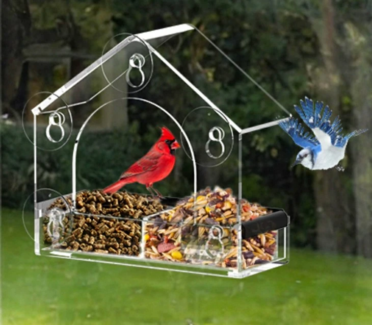 Wild Bird Viewing Feeder factory