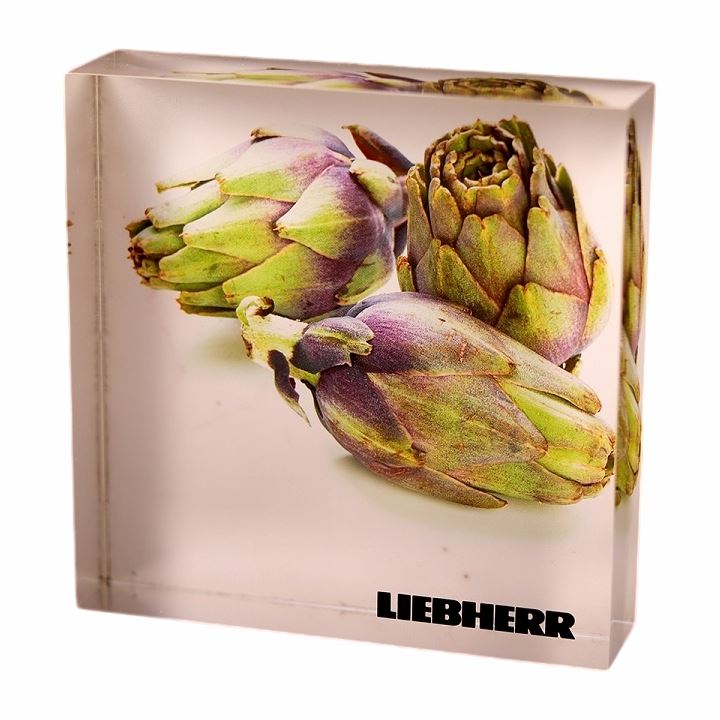 Acrylic High-Definition Printing Display Block