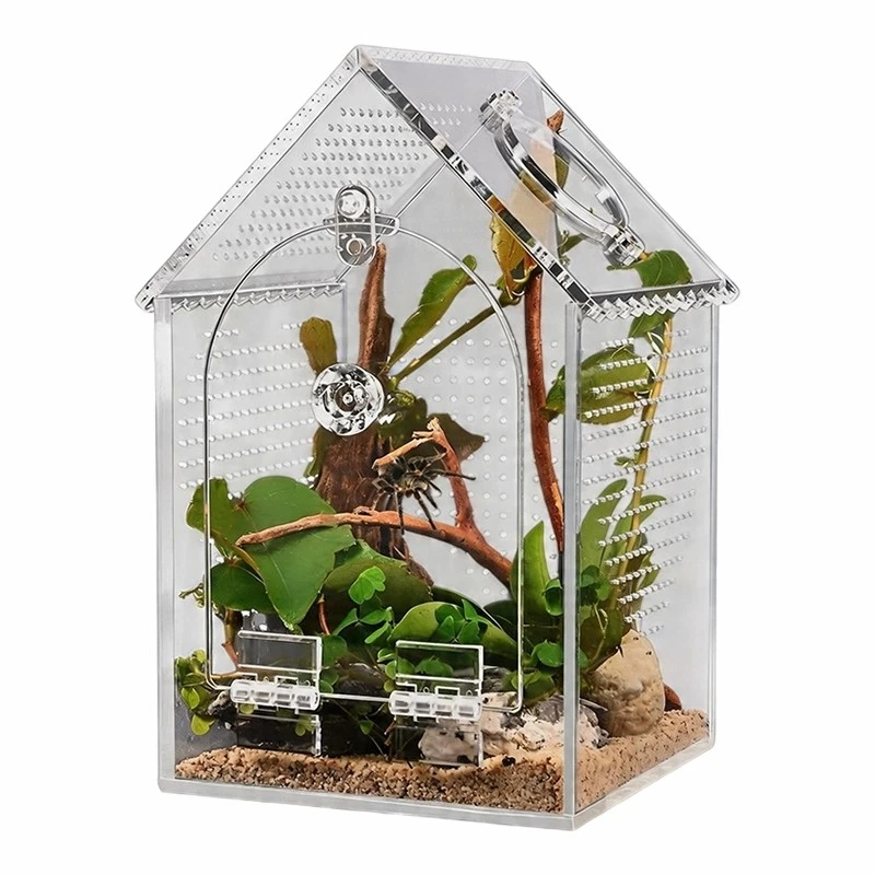 Acrylic Reptile Terrarium suppliers
