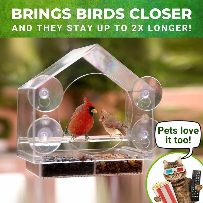 Acrylic Window Bird Feeder best