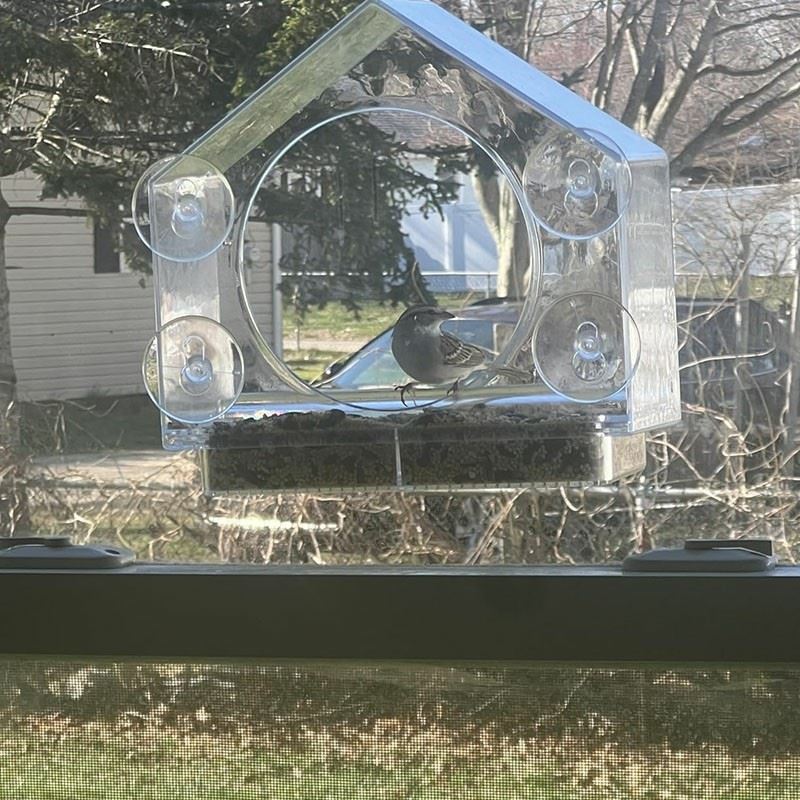 Acrylic Window Bird Feeder price
