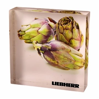 Acrylic High-Definition Printing Display Block