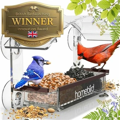 Wild Bird Viewing Feeder